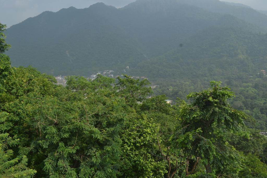 Mount Valley Mama Cottage Rishīkesh الغرفة الصورة